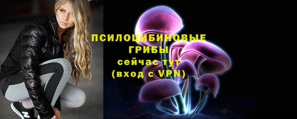 амф Зеленокумск
