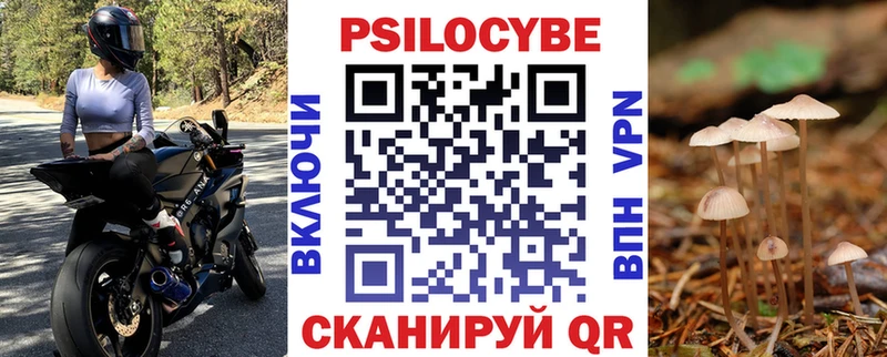 Галлюциногенные грибы Psilocybe Купить Советская Гавань